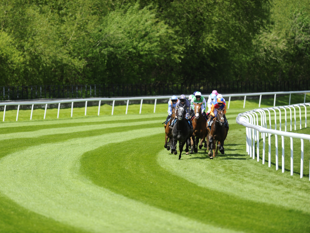 We're racing at Chester this afternoon as well as Lingfield and Market Rasen